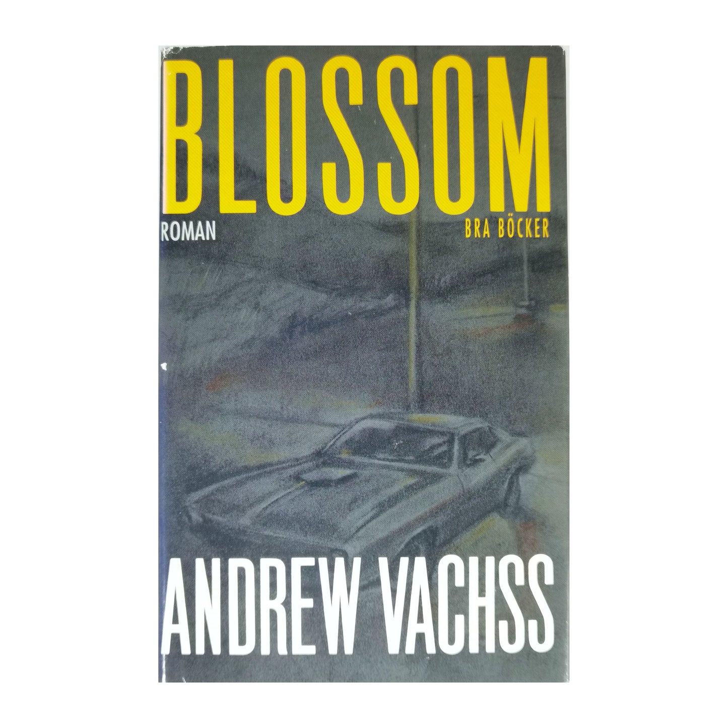 Andrew Vachss: Blossom