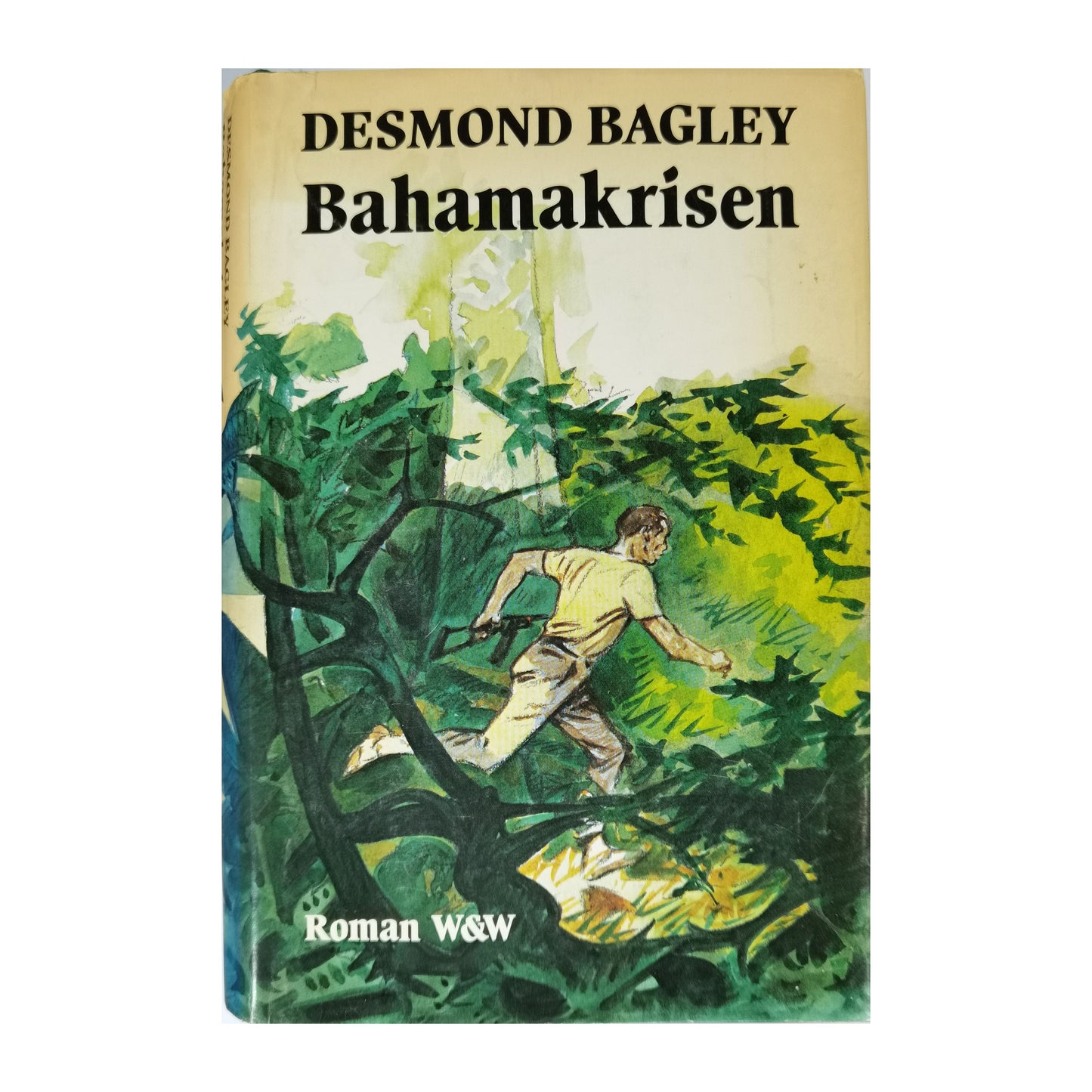 Desmond Bagley: Bahamakrisen