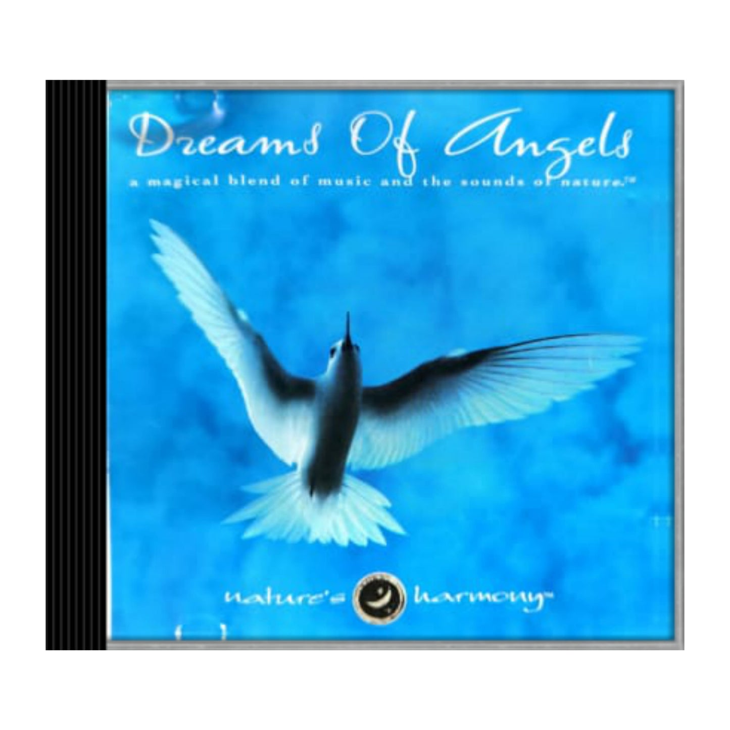 Chuck Jonkey: Dreams Of Angels