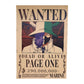 One Piece: Wanted Poster Page One 290000000 (420mm x 285mm)