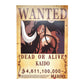 One Piece: Wanted Poster Kaido 4611100000 (ART2) (420mm x 285mm)