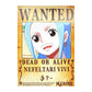 One Piece: Wanted Poster Nefeltari Vivi ? (420mm x 285mm)