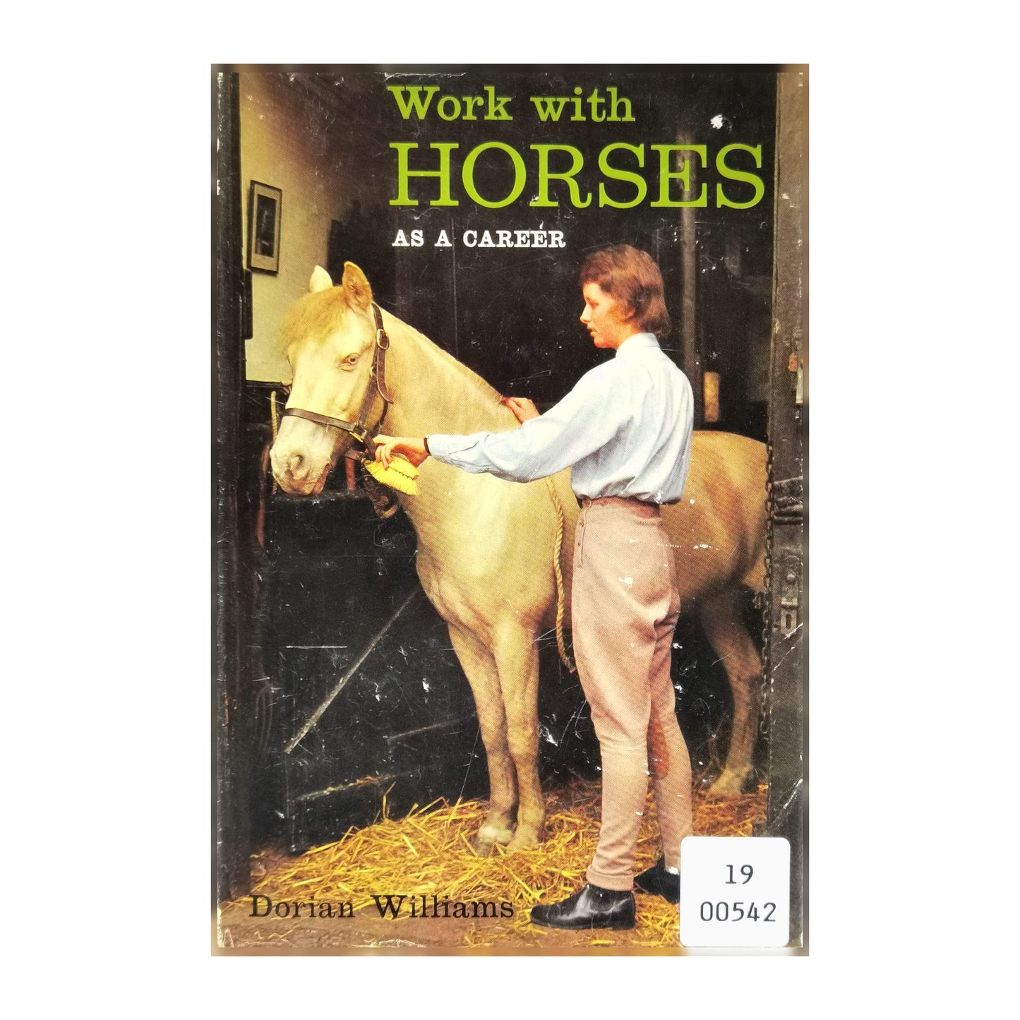 Dorian Williams: Work With Horses As A Career