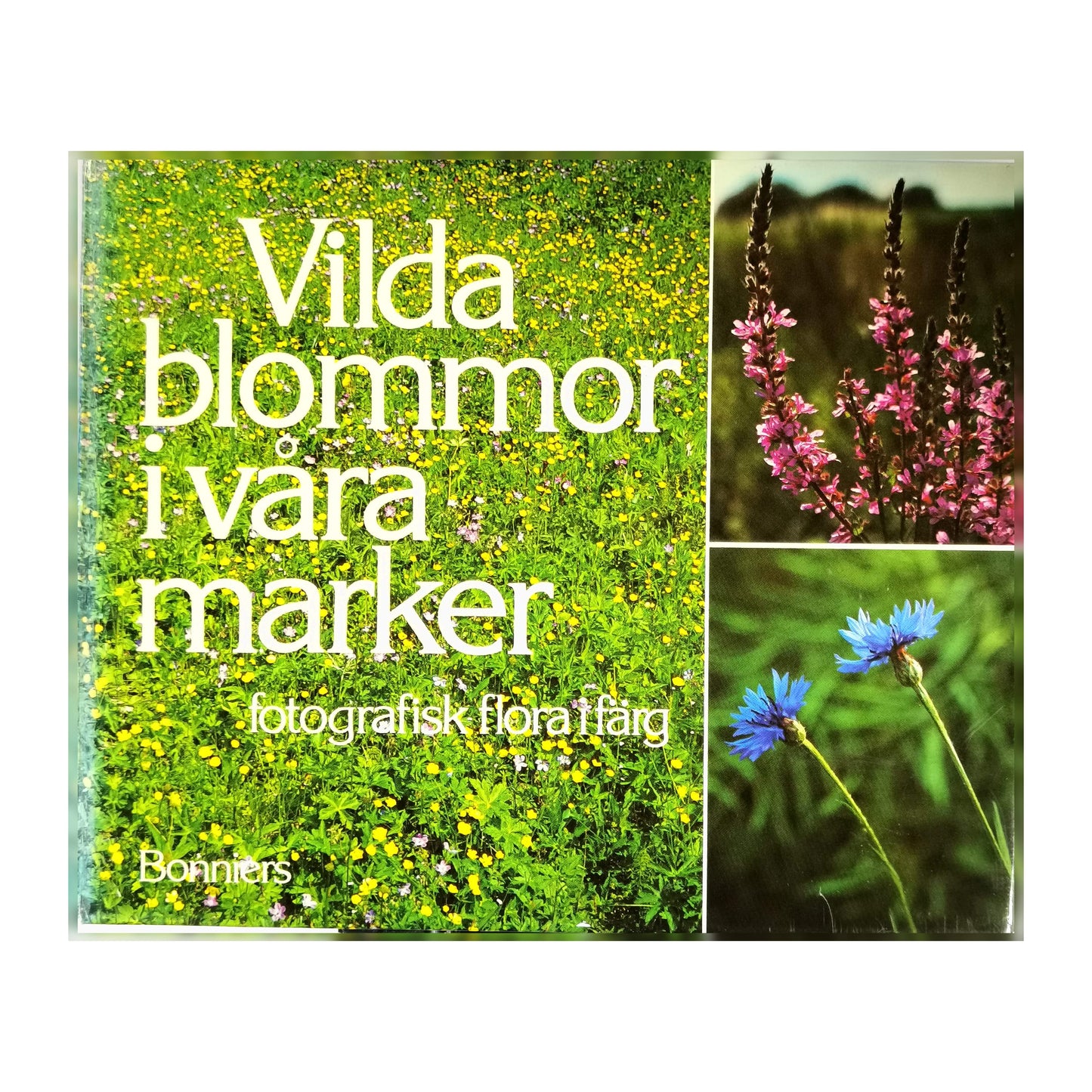 Rolf Jonsson: Vilda Blommor I Våra Marker