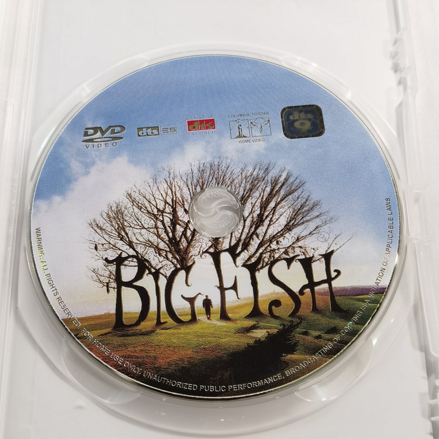 Big Fish (dvd)